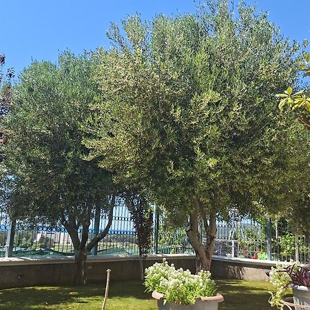 Villa Luiss Panorama Δυρράχιο Εξωτερικό φωτογραφία