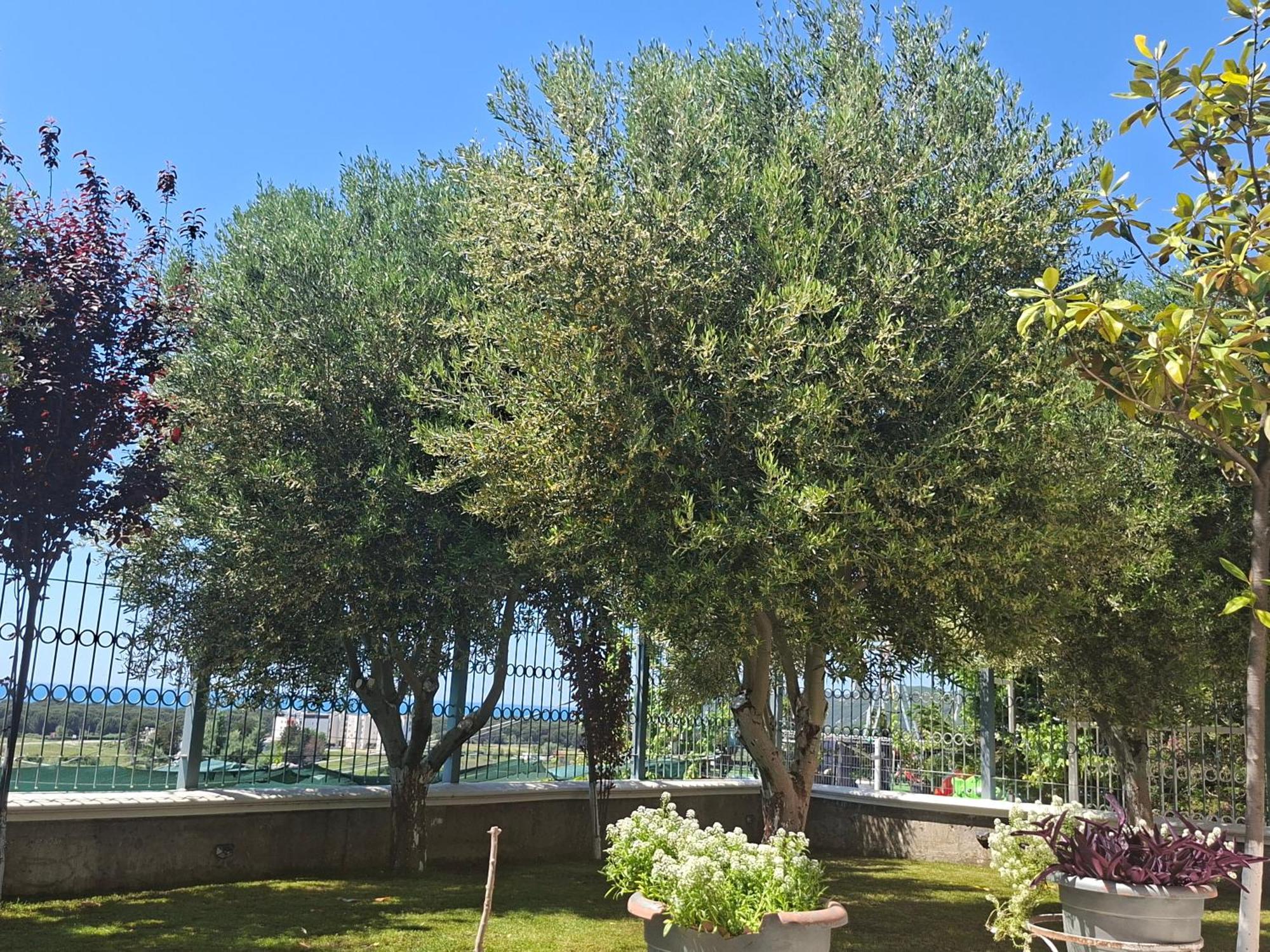 Villa Luiss Panorama Δυρράχιο Εξωτερικό φωτογραφία